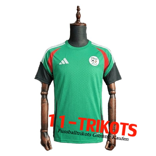 Algeria Training T-Shirt Groente/Wit/Rood 2025/2026 Algeria Training T-Shirt Groente/Wit/Rood 2025/2026