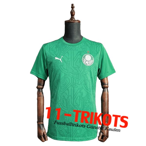 Palmeiras Training T-Shirt Groente 2025/2026