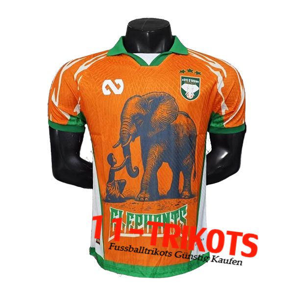 Côte d'Ivoire Fussball Trikots Special Edition Orange 2025/2026