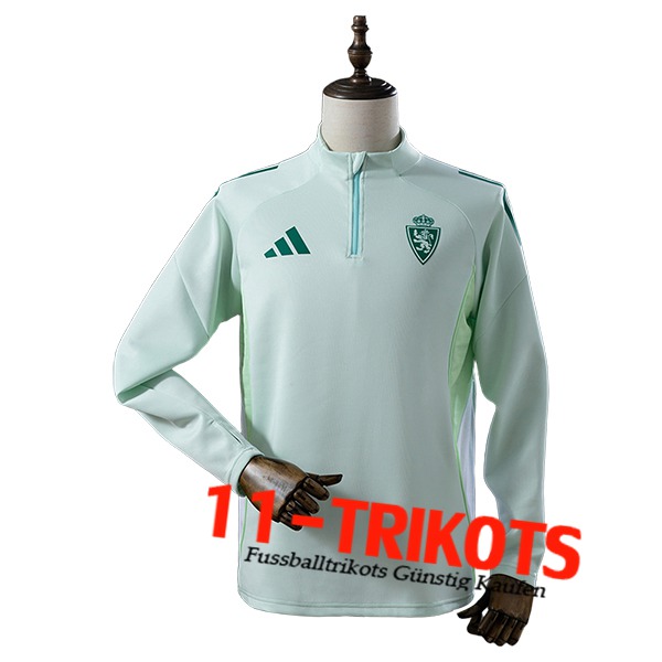 Real Zaragoza Training Sweatshirt Grün 2025/2026