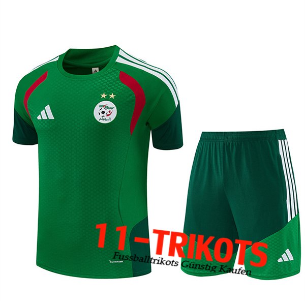 Algeria Training T-Shirt Grün/Weiß/Rot 2026/2027